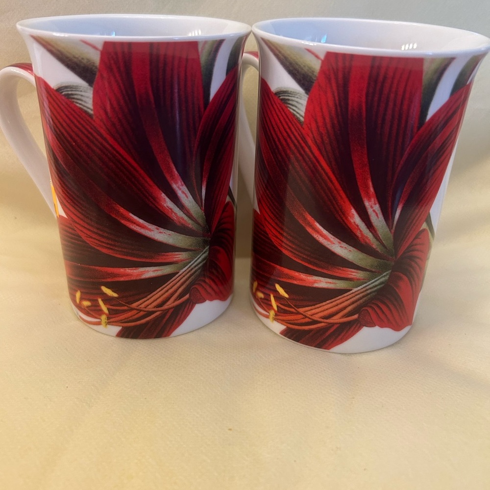 Jason Bone China Amaryllis Christmas/Holiday Mug Set of 2
